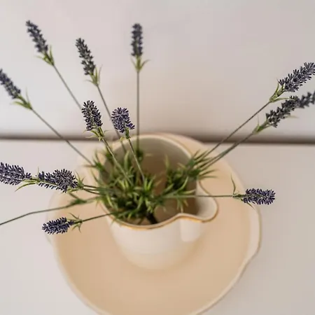 Im Alten Fachwerkhaus * Bad Buchau