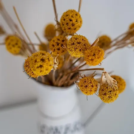 Im Alten Fachwerkhaus Appartement Bad Buchau