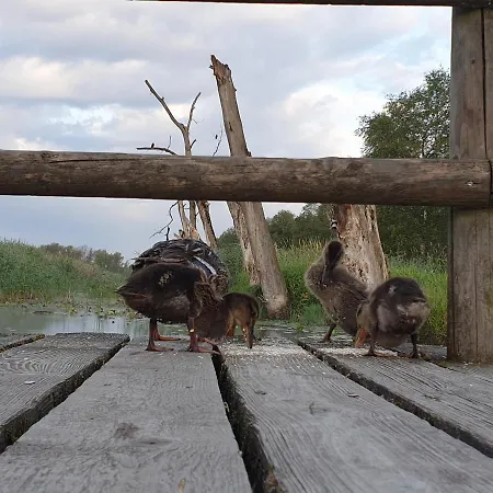 Im Alten Fachwerkhaus באד בוכאו